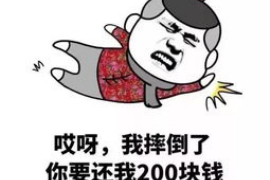 海南区要账公司更多成功案例详情